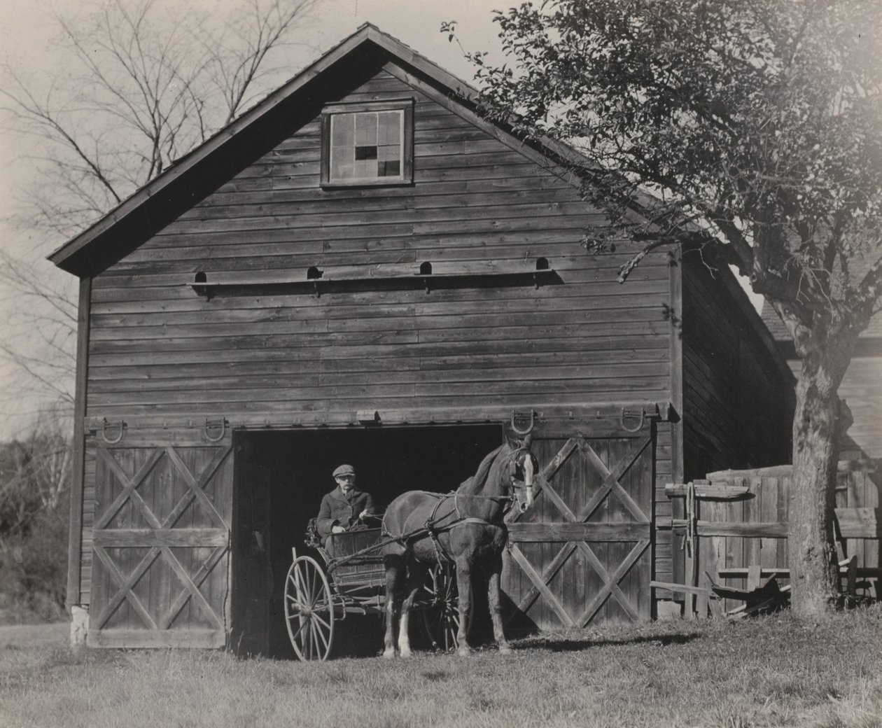 Kůň a kočár od Alfred Stieglitz