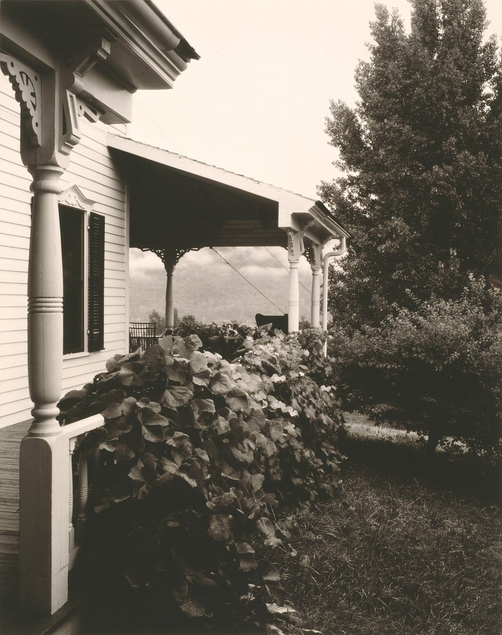 Dům a vinné listy od Alfred Stieglitz
