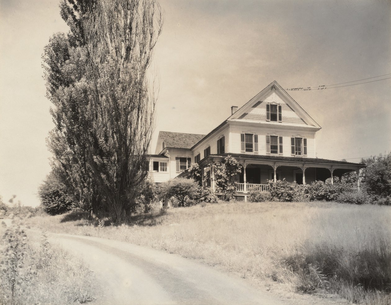 Dům a topoly, Lake George od Alfred Stieglitz