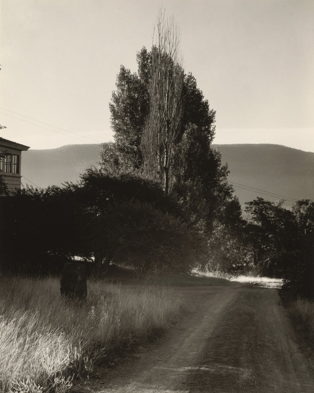 Dům a topoly, Lake George od Alfred Stieglitz
