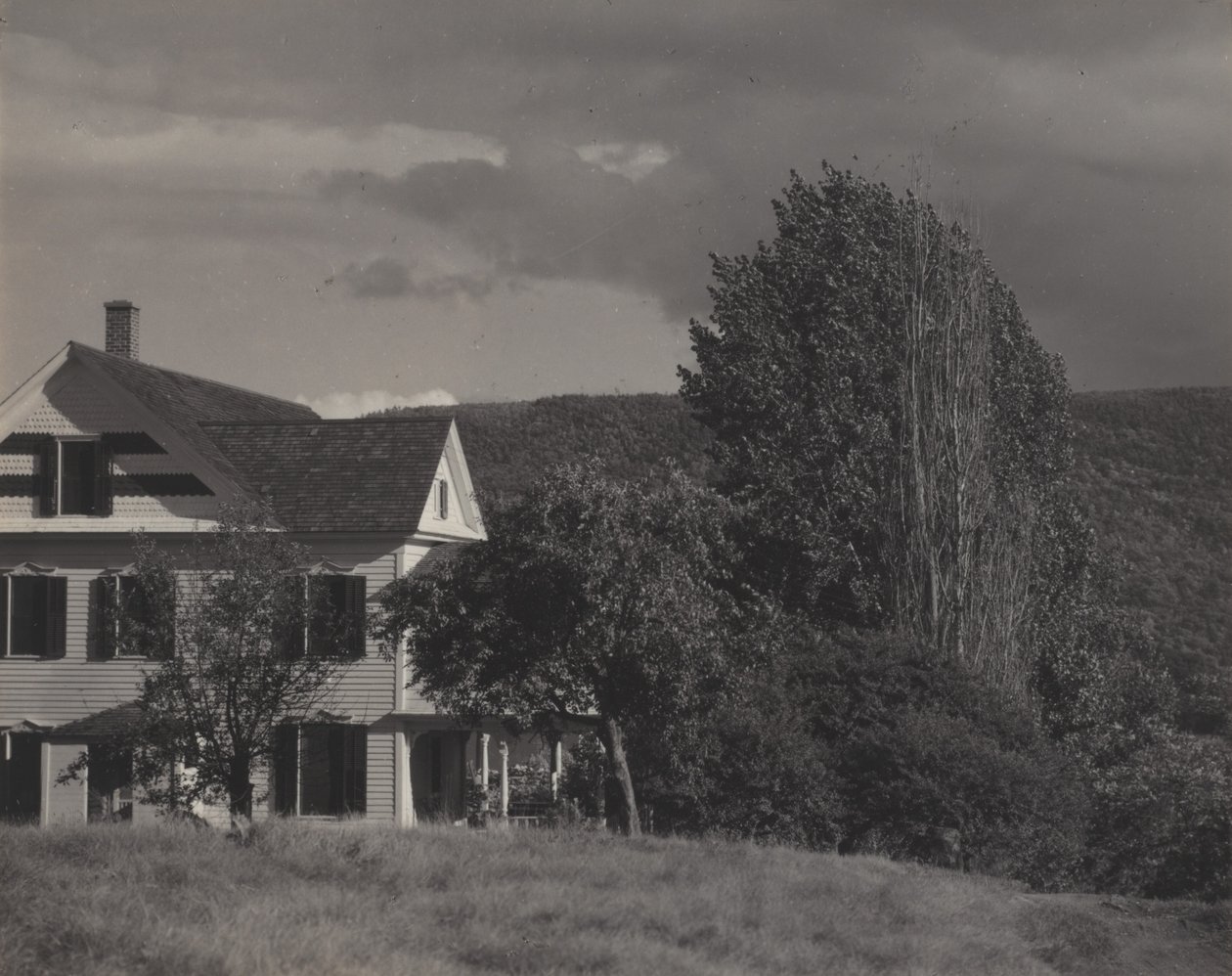 Dům a topoly, Lake George od Alfred Stieglitz