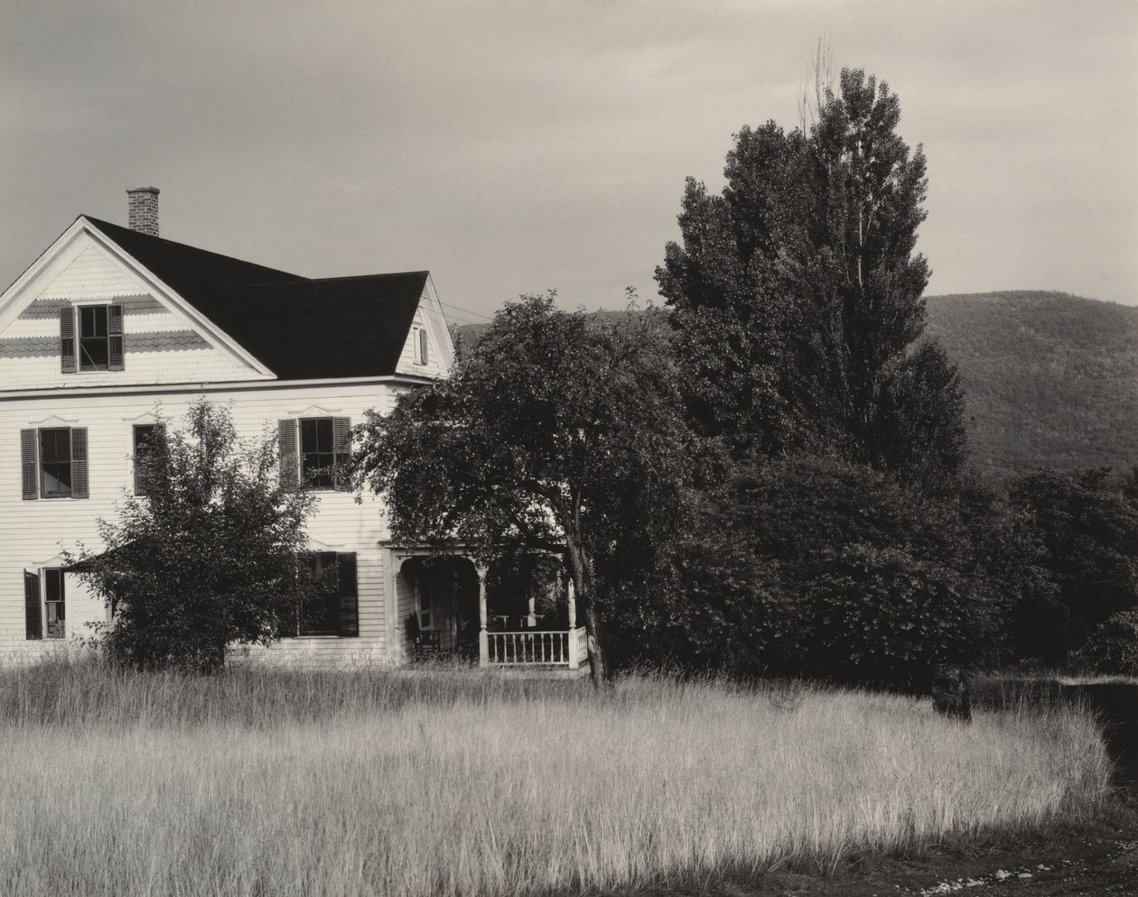 Dům a stromy, Lake George od Alfred Stieglitz
