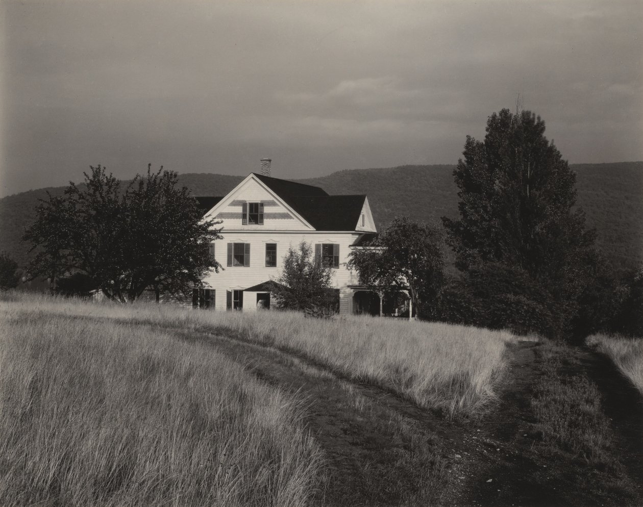 Dům a stromy, Lake George od Alfred Stieglitz