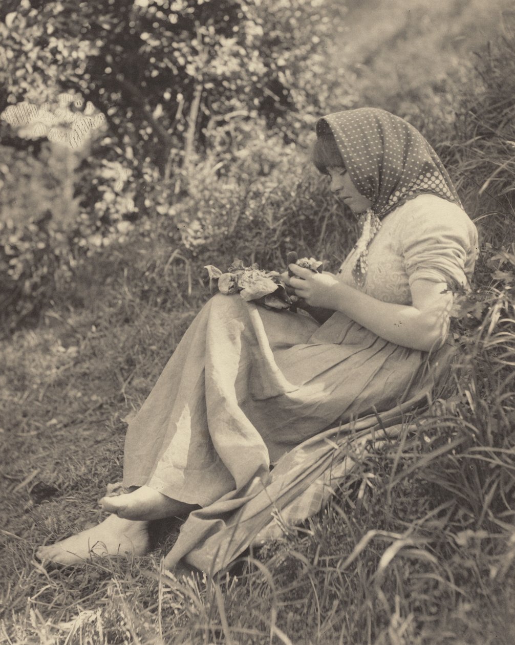 Na plném slunci od Alfred Stieglitz