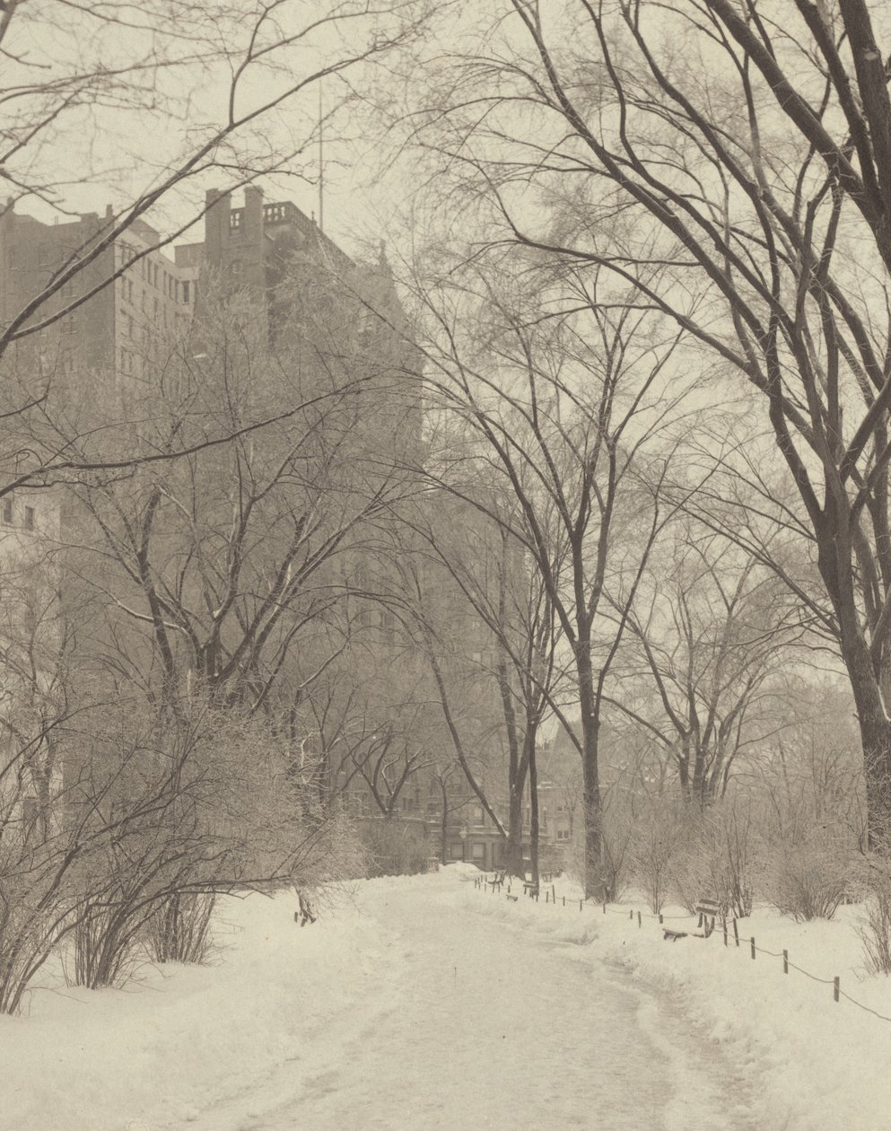 V parku od Alfred Stieglitz