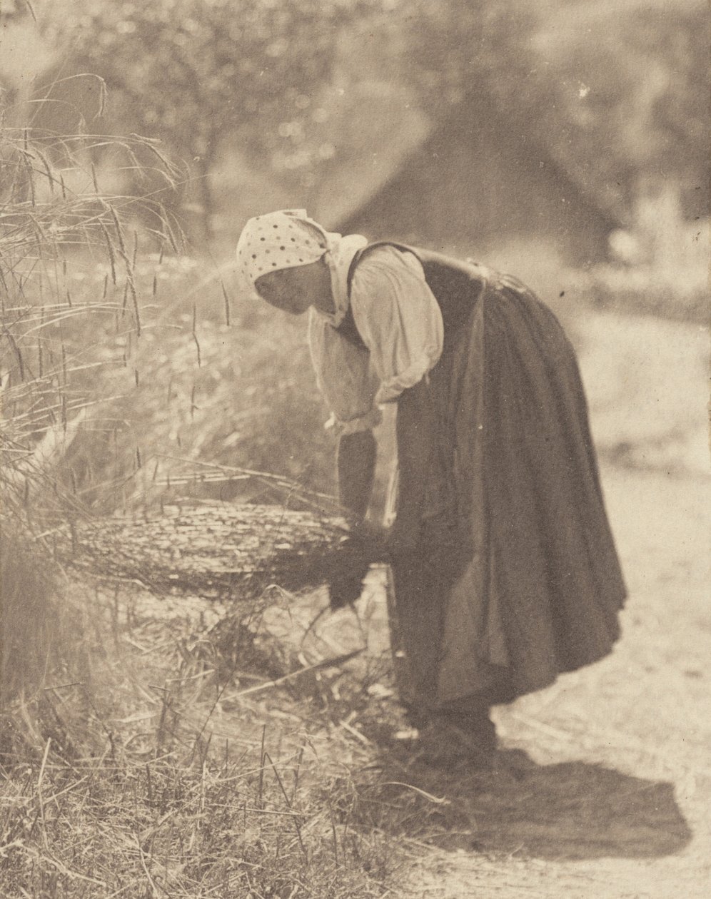Přerušeno od Alfred Stieglitz
