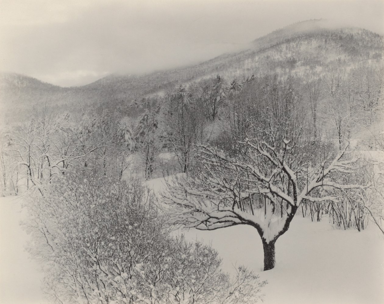 Jezero George od Alfred Stieglitz