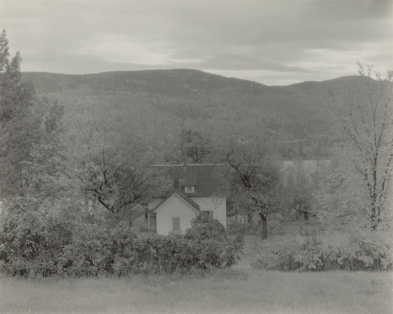 Jezero George od Alfred Stieglitz
