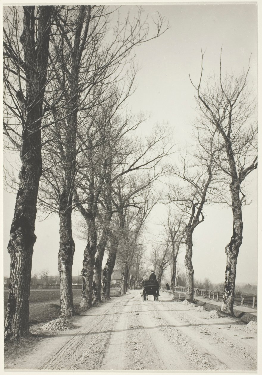 Listopadové dny od Alfred Stieglitz