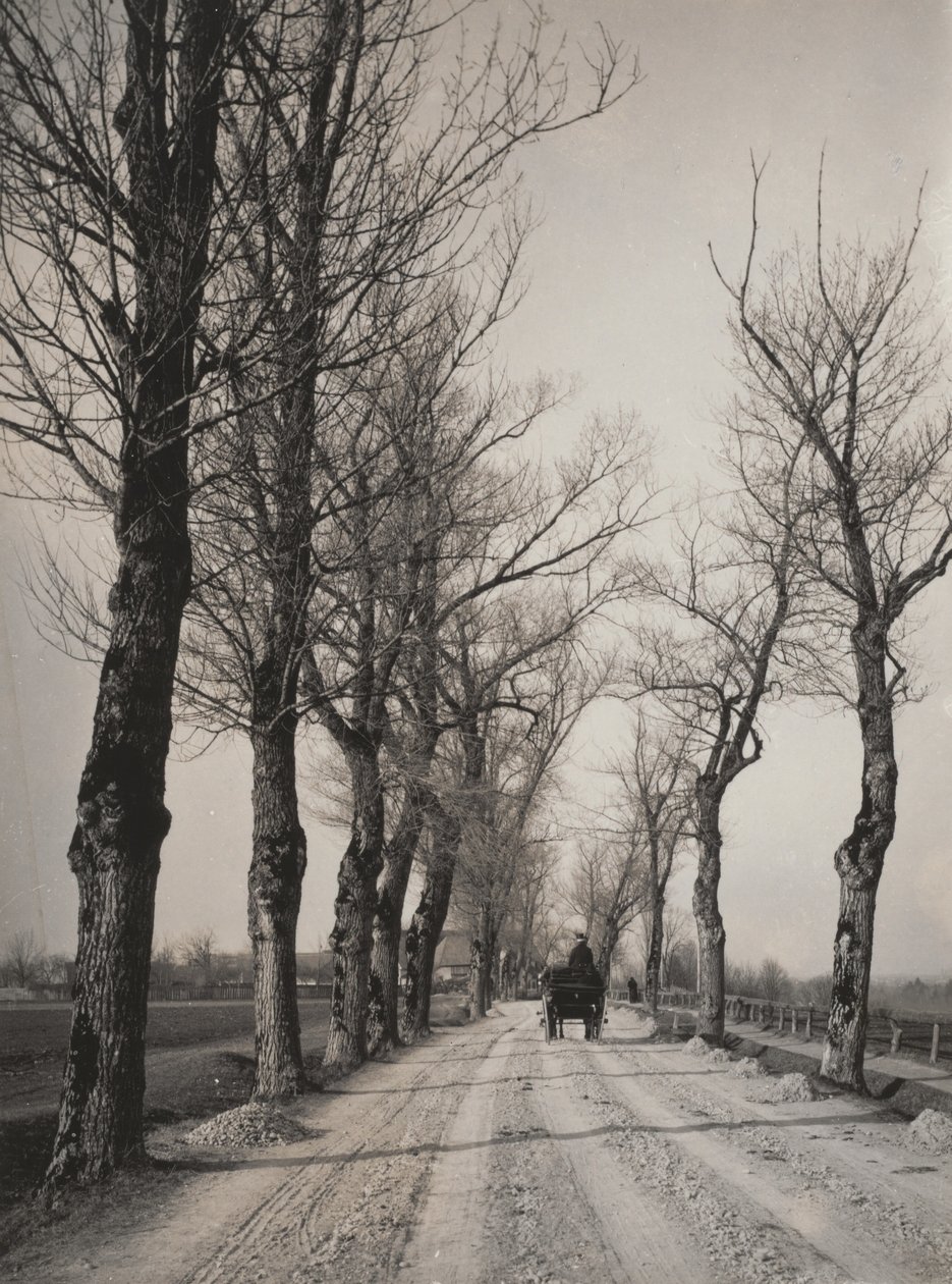 Listopadové dny od Alfred Stieglitz