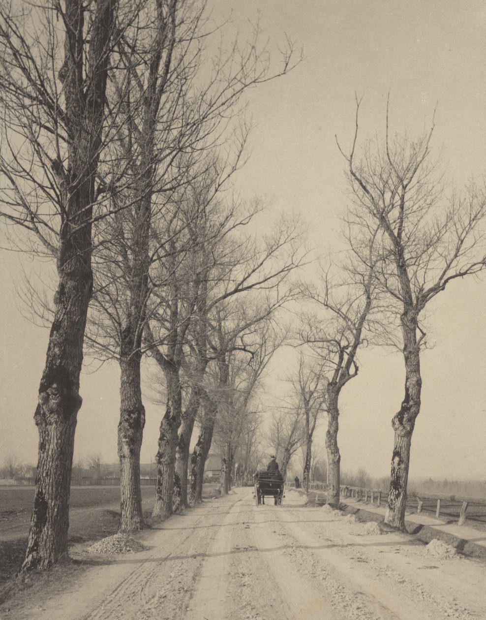 Listopadové dny od Alfred Stieglitz