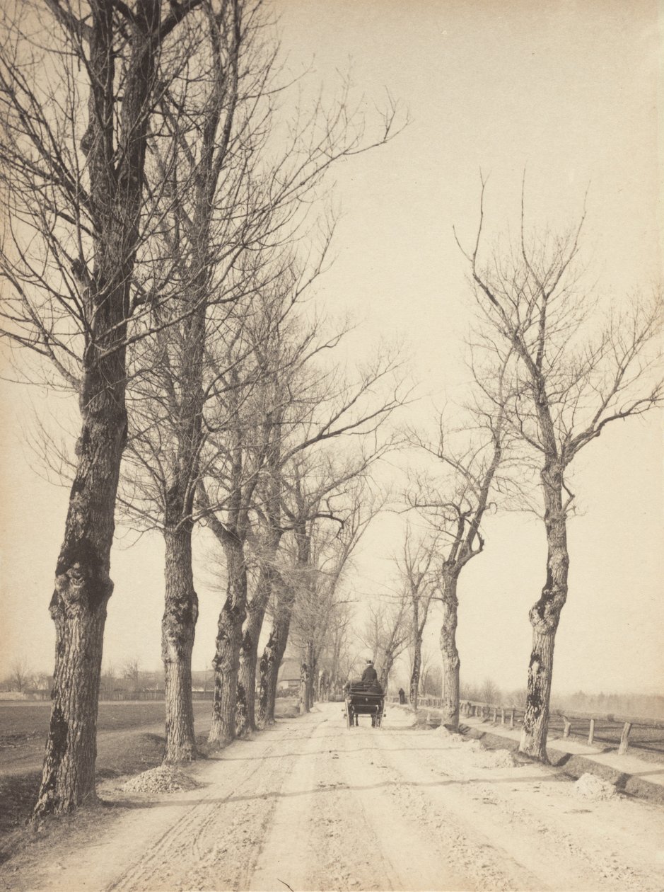 Listopadové dny od Alfred Stieglitz