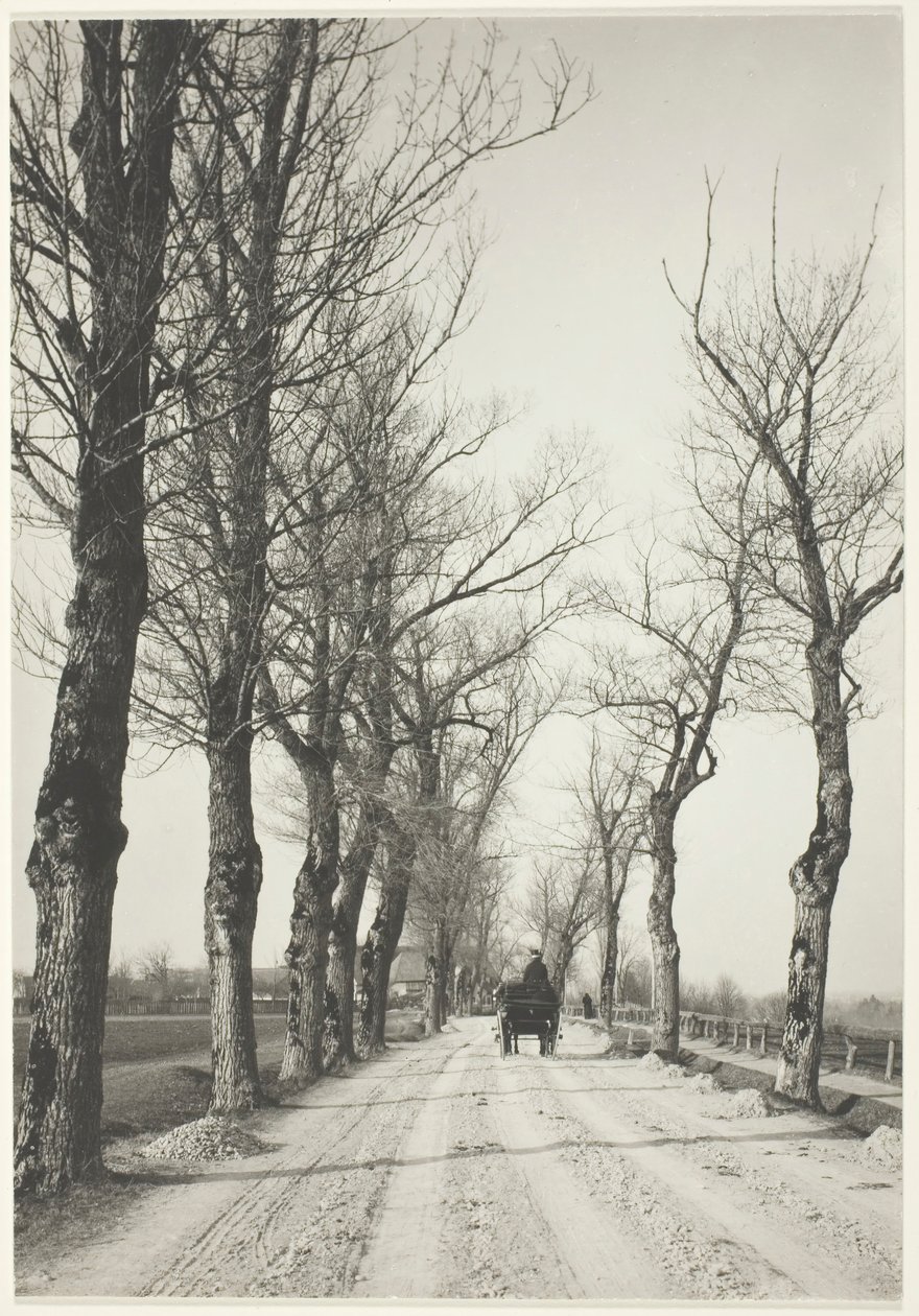 Listopadové dny, 1887, vytištěno 192039. od Alfred Stieglitz