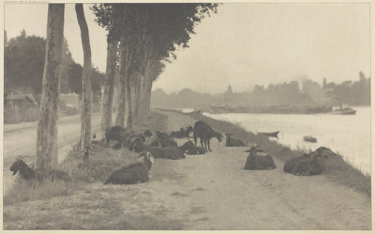Na Seině — Nedaleko Paříže od Alfred Stieglitz