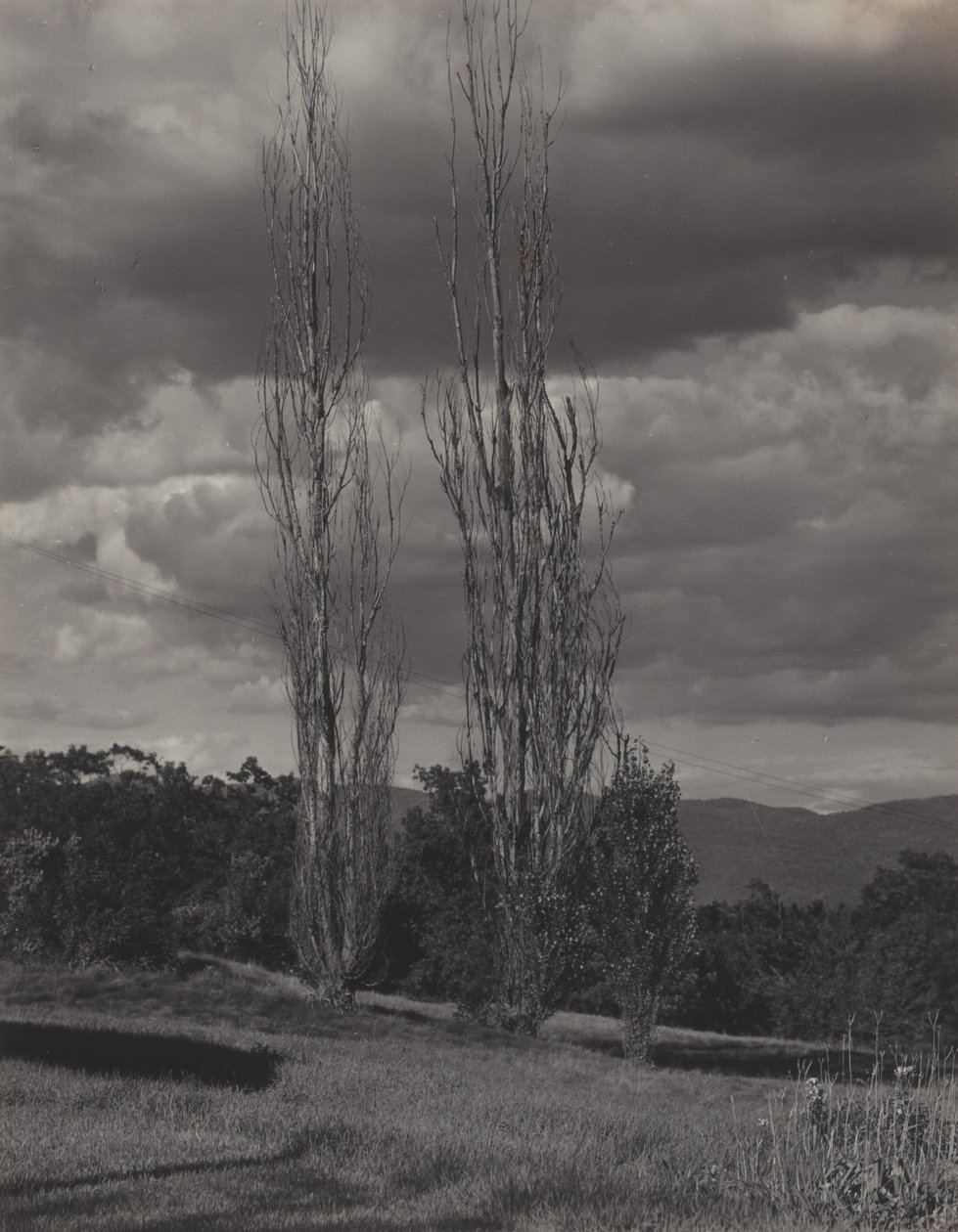 Topoly – Lake George od Alfred Stieglitz