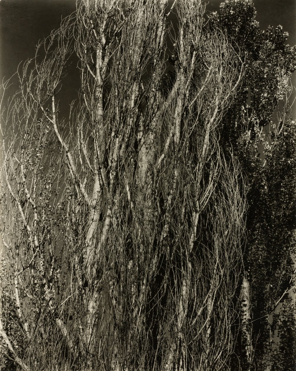 Topoly — jezero George od Alfred Stieglitz