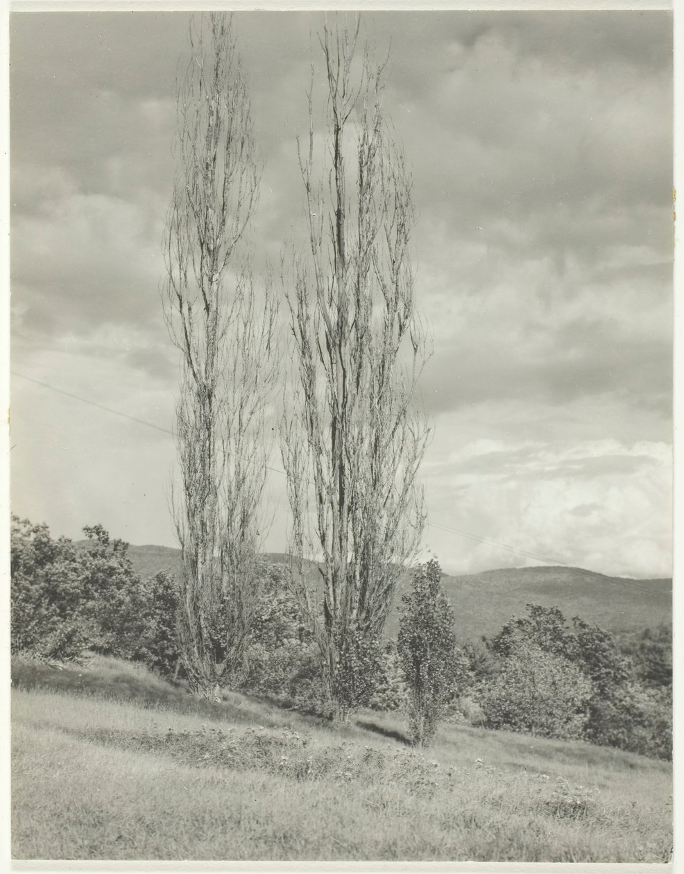 Topoly — Lake George, 1935. od Alfred Stieglitz