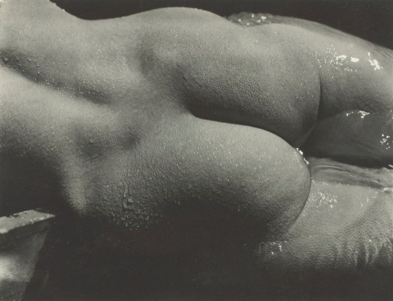 Rebecca Salsbury Strand, 1922. od Alfred Stieglitz