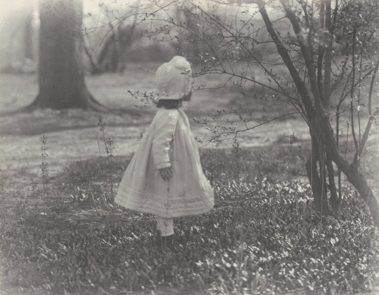 Jaro od Alfred Stieglitz