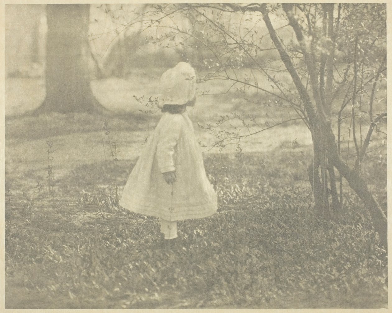 Jaro - Dítě, 1901. od Alfred Stieglitz