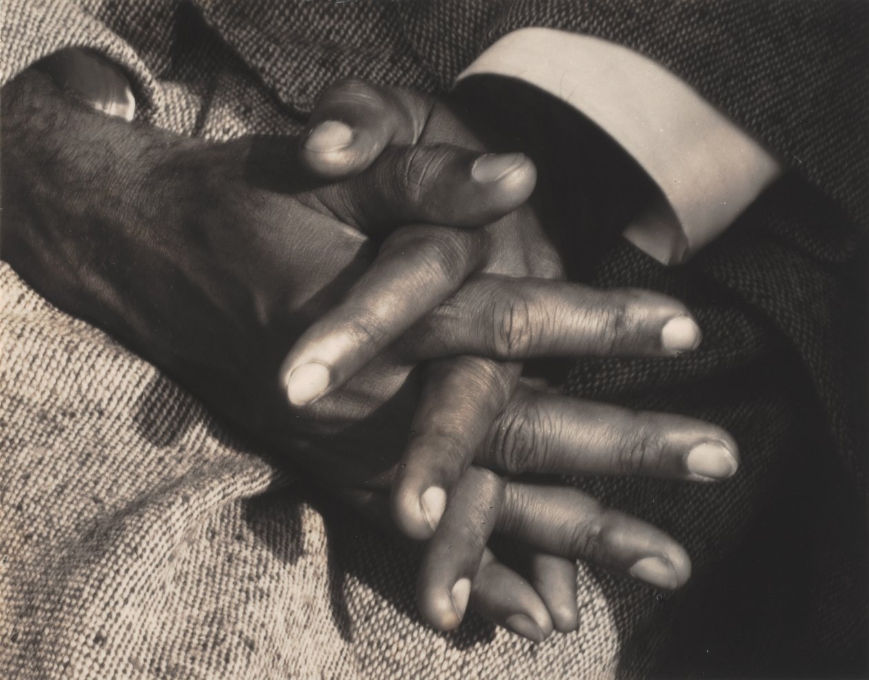 Pán mého pokoje od Alfred Stieglitz