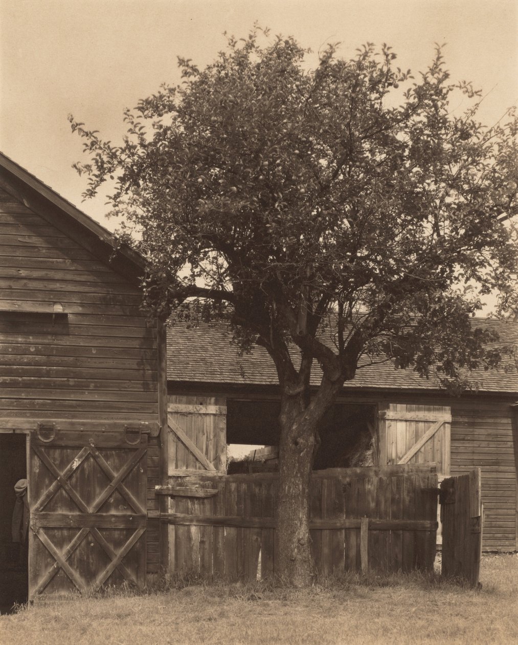 Stodola od Alfred Stieglitz