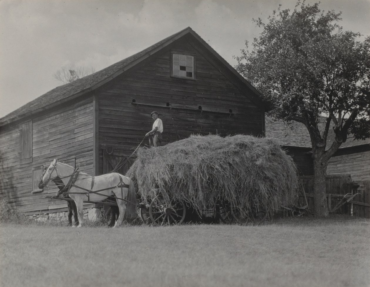 Voz s senem a stodola od Alfred Stieglitz