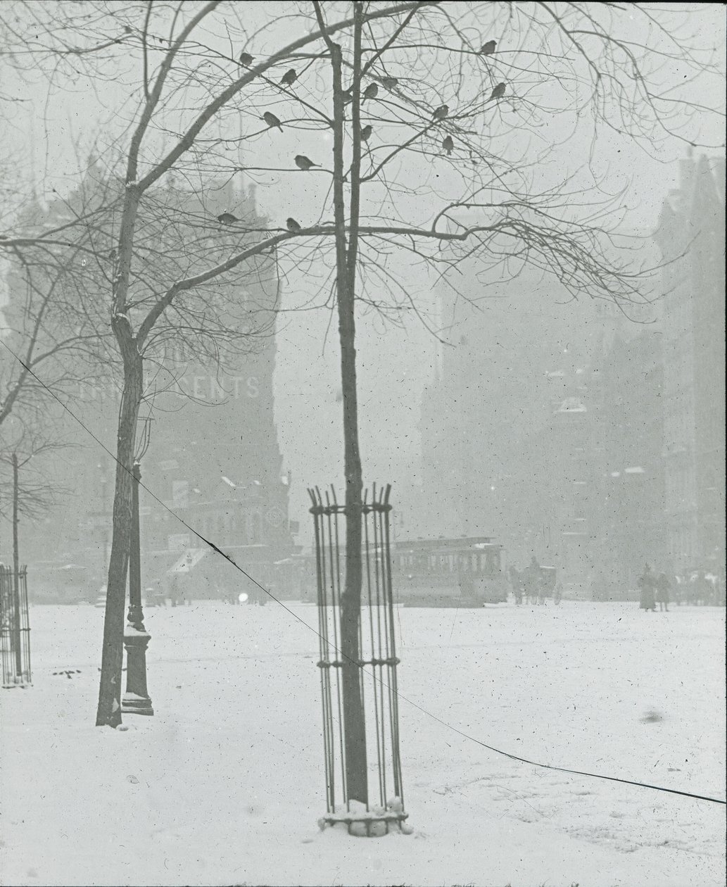 Strom ve sněhu, New York City, 190002. od Alfred Stieglitz