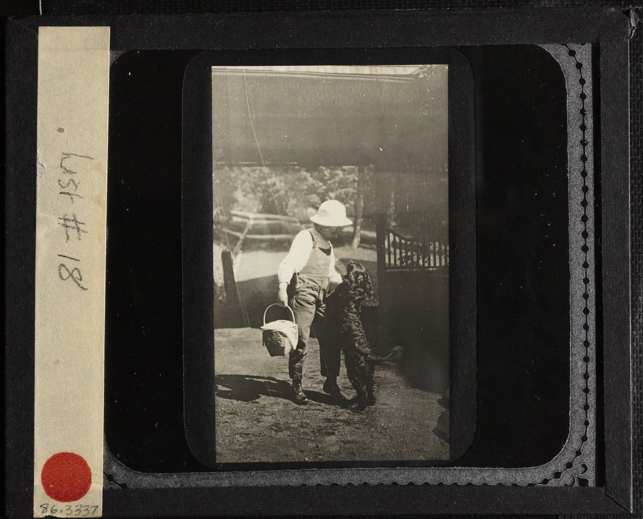 Bez názvu Neteř Elizabeth s Inky at Oaklawn, c. 1903. od Alfred Stieglitz