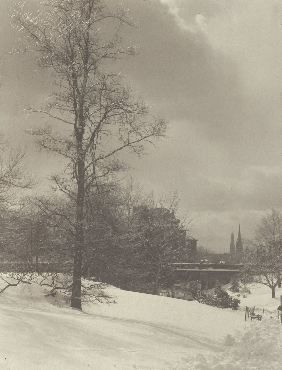 Zima (Central Park) od Alfred Stieglitz