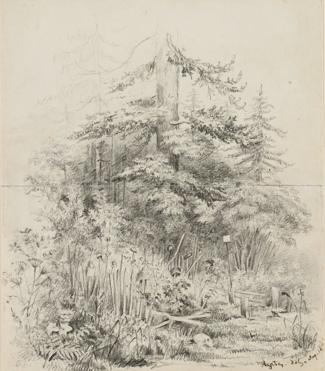 Indian Burial Place, Oregon, 1841 (grafit na dvou sešívaných listech skicáku krémově tkaného papíru) od Alfred Thomas Agate