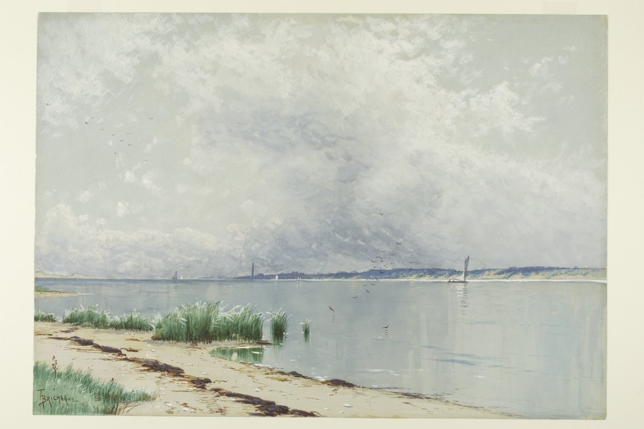 Odražené rákosí od Alfred Thompson Bricher
