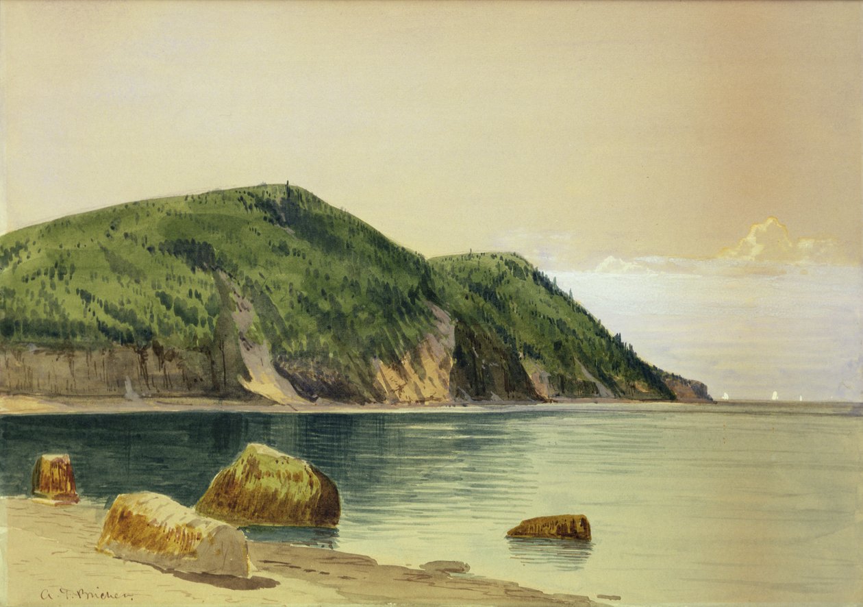 Skalnaté pobřeží (akvarel na desce) od Alfred Thompson Bricher