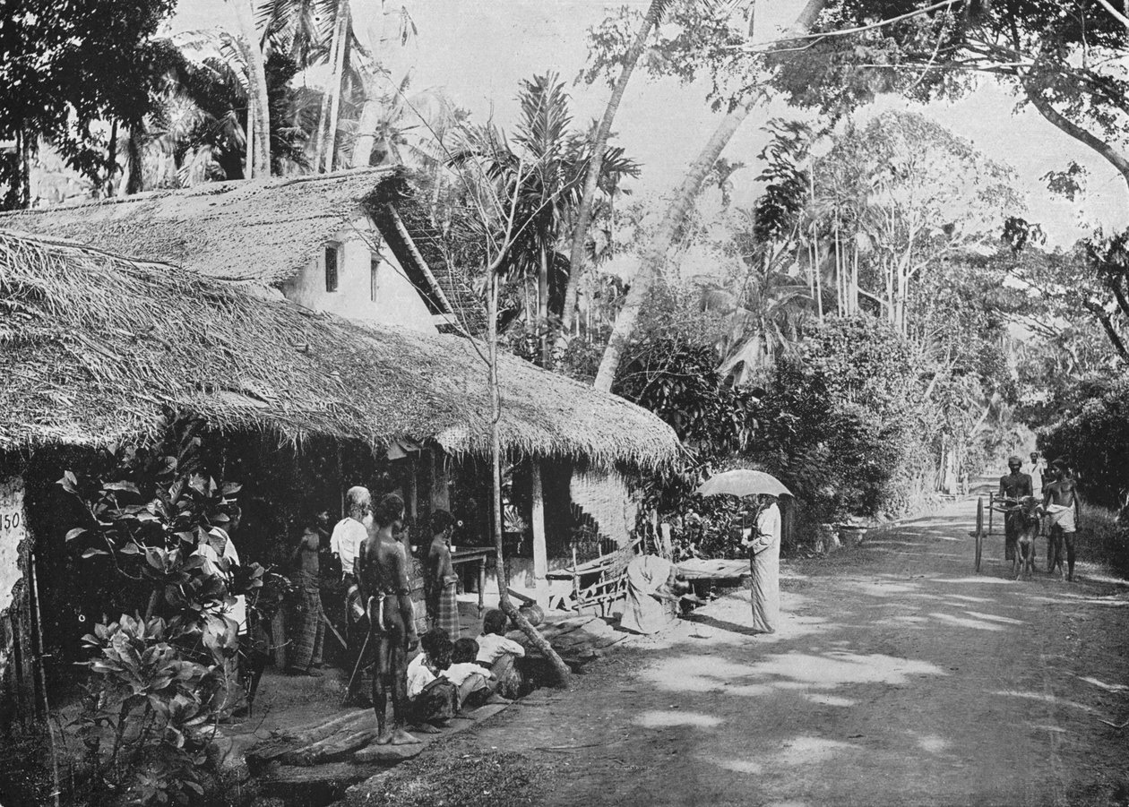 Boralesgamuwa, c1890, 1910 od Alfred William Amandus Plate