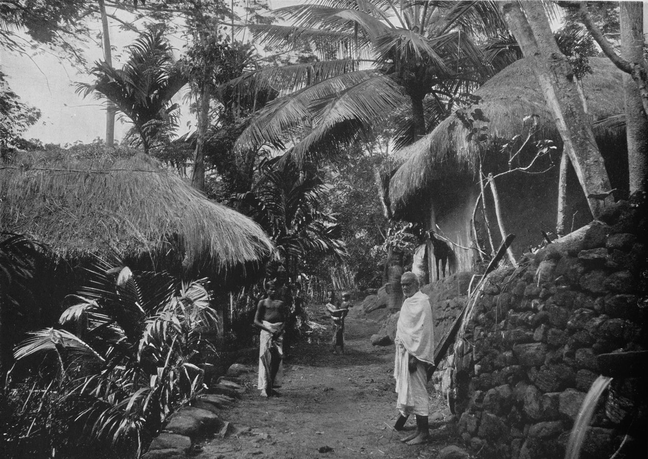 Native Huts in the Jungle, c1890, 1910 od Alfred William Amandus Plate