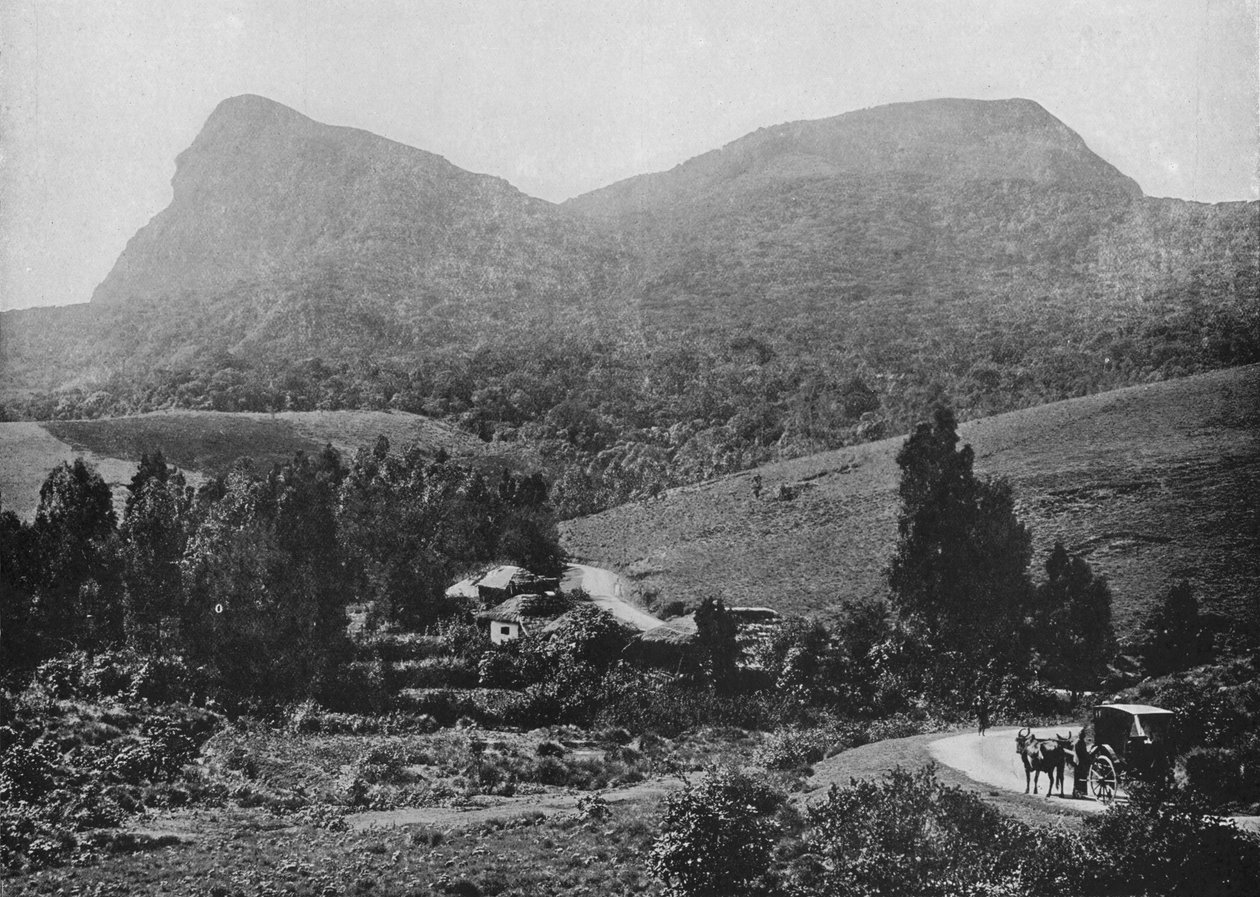 Na cestě do Hakgally. Hakgalla Rock in the Distance, c1890, 1910 od Alfred William Amandus Plate