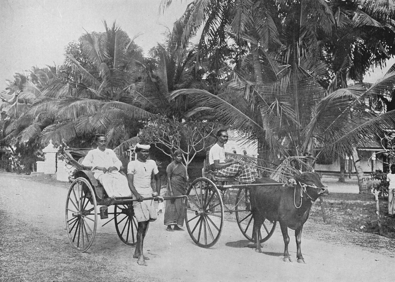 Rickshaw and Racing Hackery, c1890, 1910 od Alfred William Amandus Plate