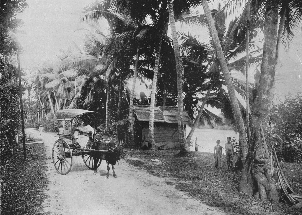 Road Beside the Kelaniya River, c1890, 1910 od Alfred William Amandus Plate