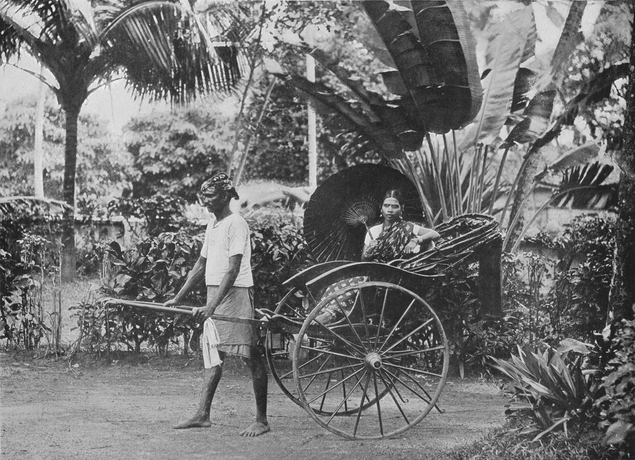 Tamilská dáma v Rickshaw, c1890, 1910 od Alfred William Amandus Plate