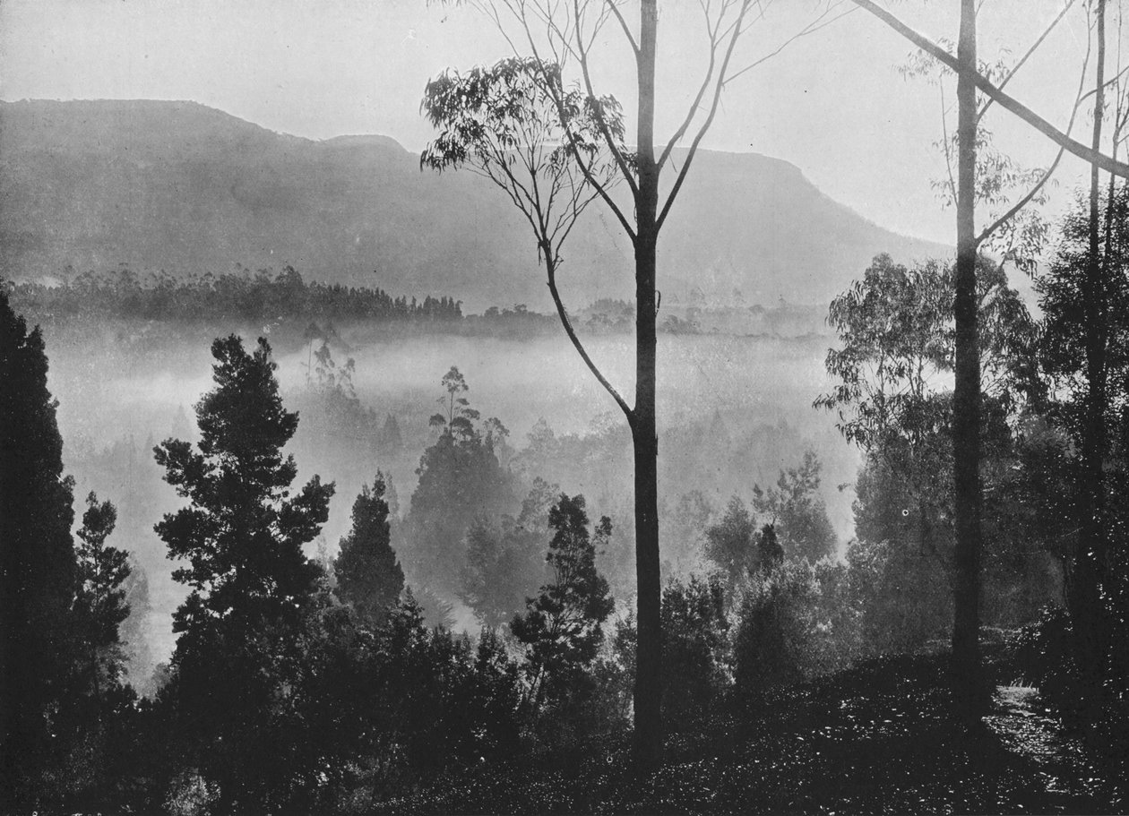 Ranní mlha vycházející v Nuwara Eliya, c1890, 1910 od Alfred William Amandus Plate