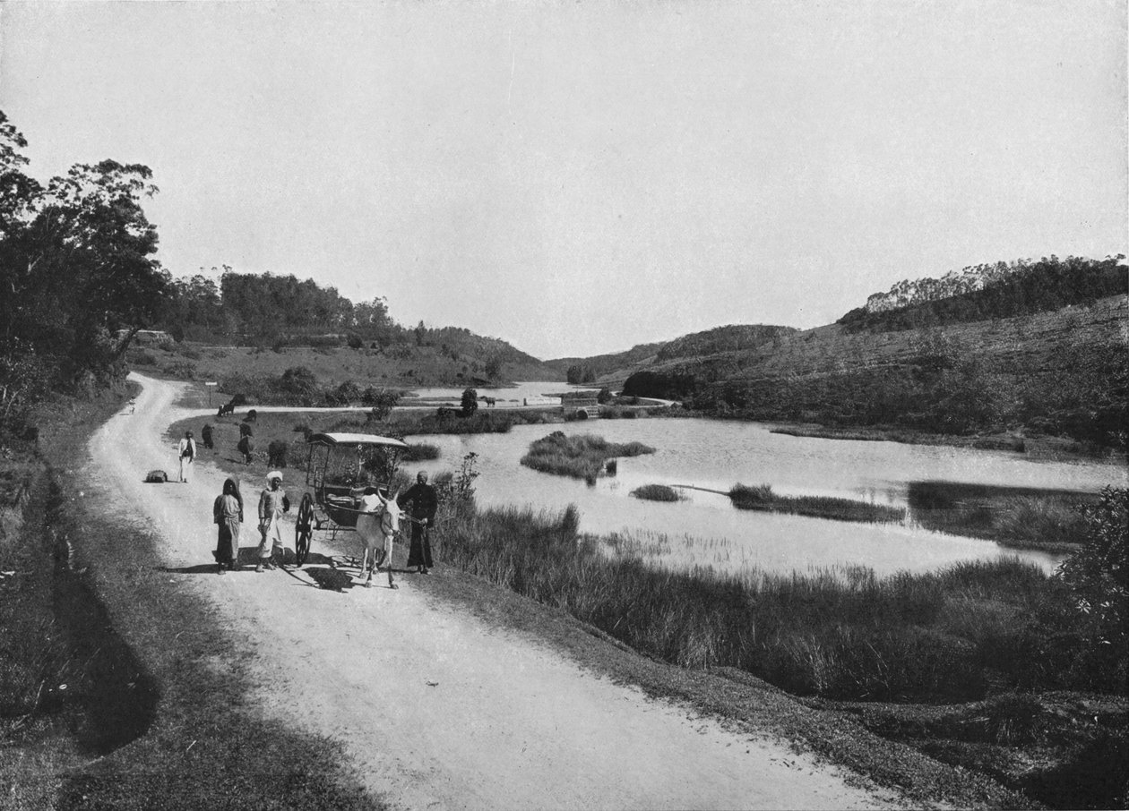 Měsíční pláně, Nuwara Eliya, c1890, 1910 od Alfred William Amandus Plate