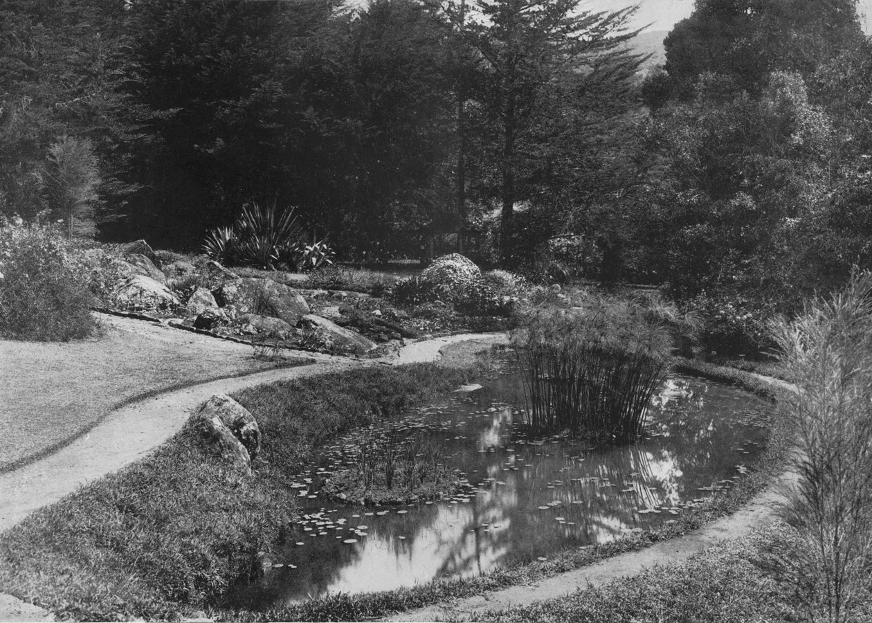 Skalka, zahrady Hakgalla, Nuwara Eliya, c1890, 1910 od Alfred William Amandus Plate