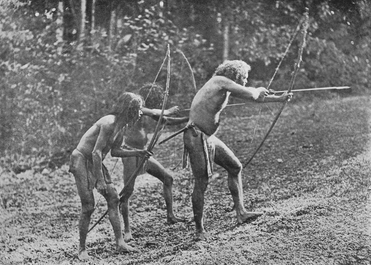 Veddahs or Wild Men, c1890, 1910 od Alfred William Amandus Plate