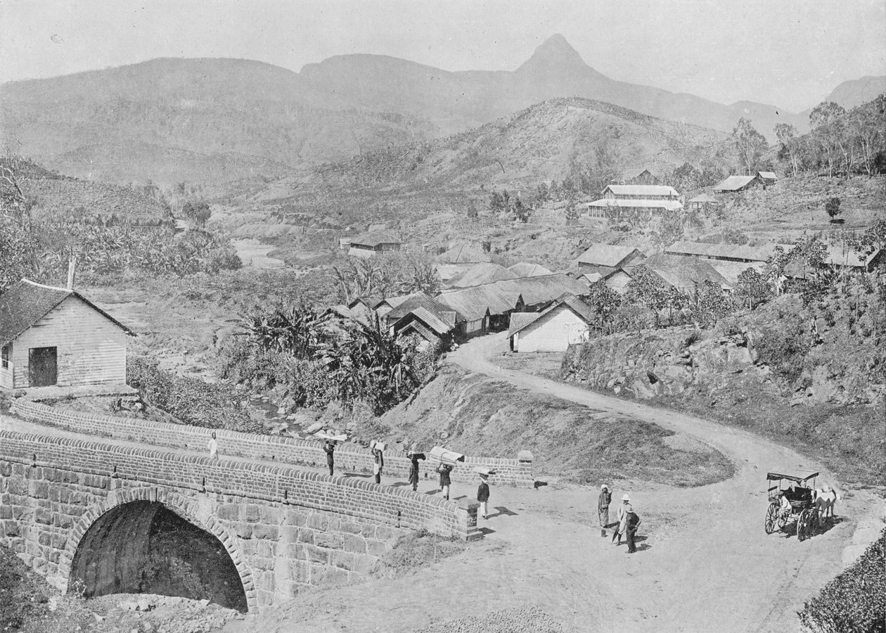 Pohled na Maskeliya ukazující Adams Peak, c1890, 1910 od Alfred William Amandus Plate