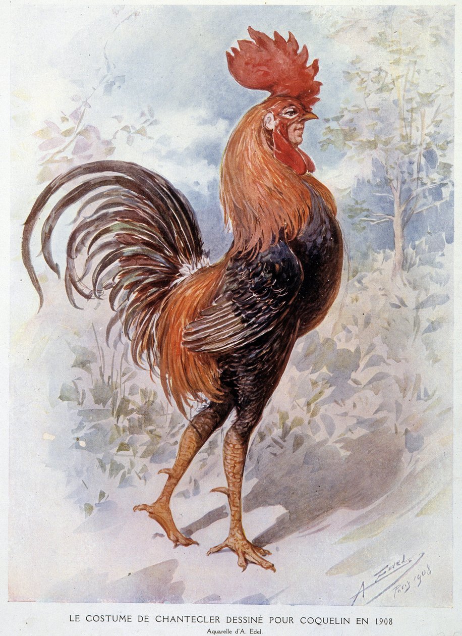 Chanteclerův kostým kohouta navržený pro Constant Poppy v roce 1908, verše od Edmonda Rostanda od Alfredo Edel