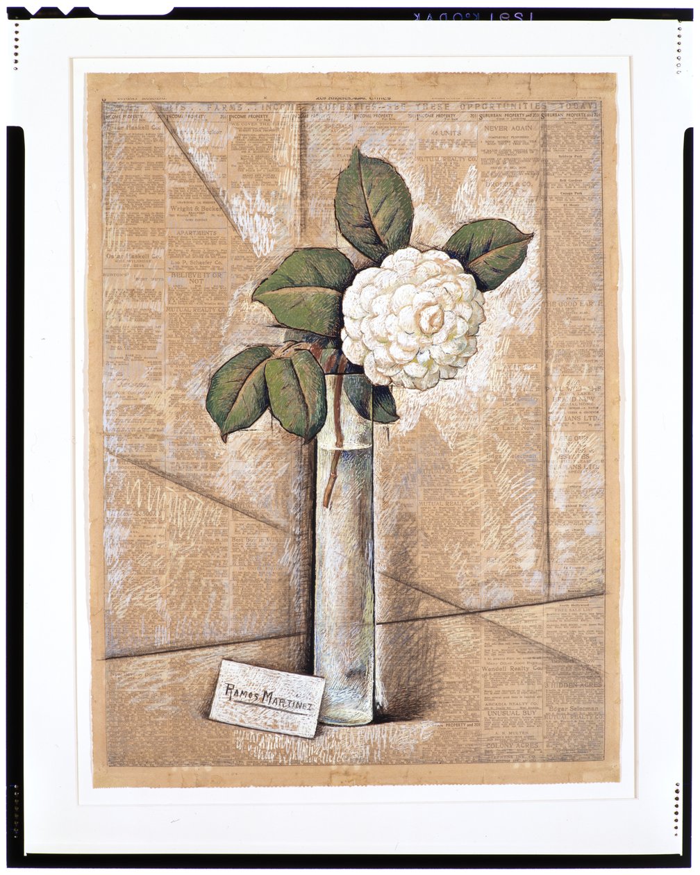 Gardenia in Glass, cca 1936 (kvaš, akvarel a křída na novinovém papíru) od Alfredo Ramos Martinez
