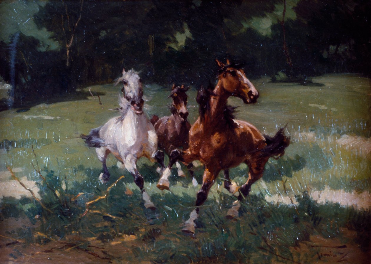 Běžící koně, malba Alfreda Tominze (1854-1936), olej na kartonu, 67x48 cm, Itálie od Alfredo Tominz