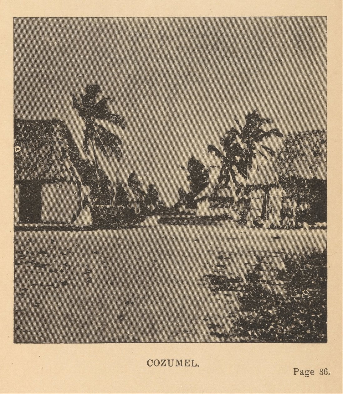 Cozumel od Alice Dixon Le Plongeon