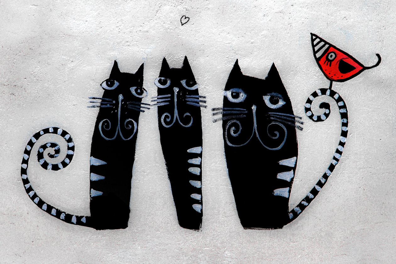 3 kočky z Krakova, 2019 (fotografie) od Alice Gur-Arie