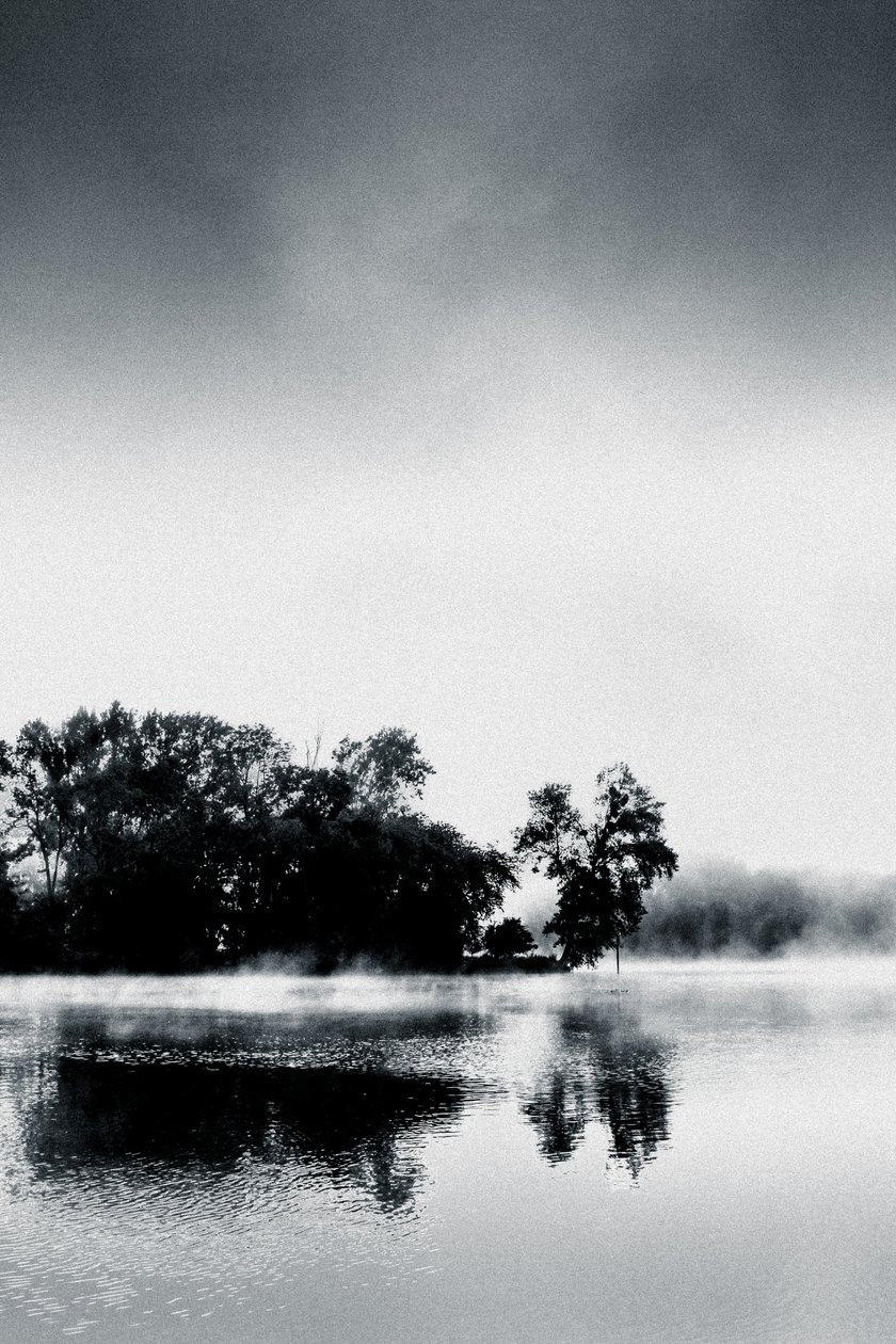 Boissy Morning, 2017 (ručně malovaná fotografie) od Alice Gur Arie